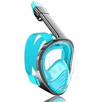 best snorkel mask for beards