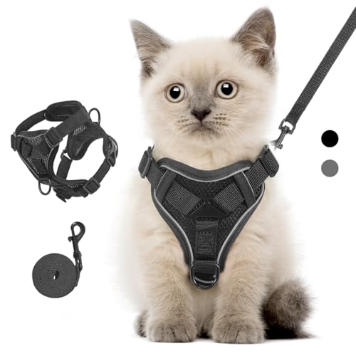 VavoPaw Set di Pettorina e Guinzaglio per Gatti, Pettorina Regolabile per Gattini con Striscia Riflettente in Rete Traspirante, Gilet di Sicurezza a Prova di Fuga per Gatti Cuccioli, XS Nero