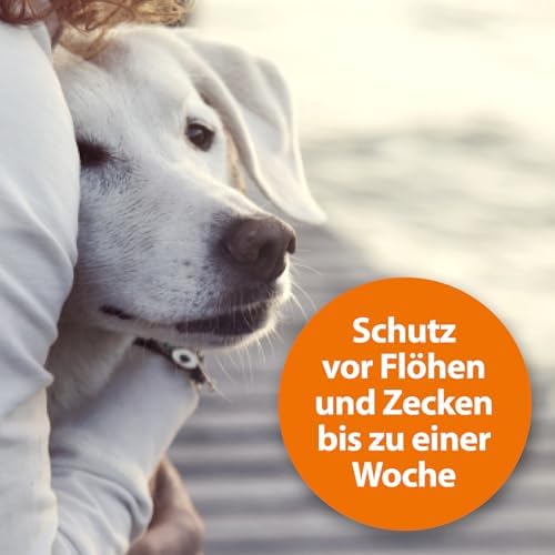 6. Bild von ARDAP Flohspray 250ml zur Anwendung am Tier - Bis zu 4 Wochen zuverlässiger, natürlicher & langanhaltender Schutz vor Flöhen, Zecken, Läusen & Milben (PT19)