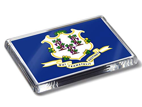 Flag of Connecticut US State Strong Acrylic Fridge Magnet Home Decor