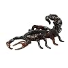 Safari Ltd. Venomous Creatures TOOB - 9 Figurines: Toad, Snake, Ray, Komodo Dragon, Tarantula, Centipede, Scorpion, Stone Fish, Cobra - Educational Toy Figures For Boys, Girls & Kids Ages 3+