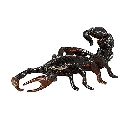 Safari Ltd. Venomous Creatures TOOB - 9 Figurines: Toad, Snake, Ray, Komodo Dragon, Tarantula, Centipede, Scorpion, Stone Fish, Cobra - Educational Toy Figures For Boys, Girls & Kids Ages 3+