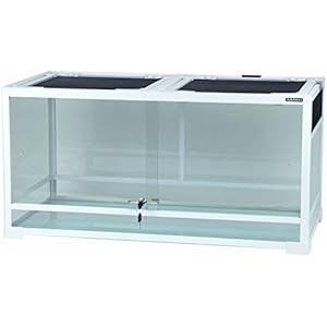 爬虫類・両生類用ケース・水槽 - Amazon.co.jp