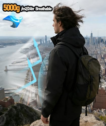 View 4
