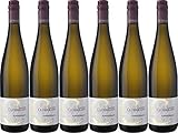 Christoph Clüsserath Trittenheimer Apotheke Schiefer Riesling 2024 Trocken (6 x 0.75 l)