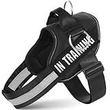 JUSTYEZI Essential Dog Harness with 3 Leash Clips - No-Pull, Adjustable, Comfortable Pet Vest Harness for Small to Large Dogs - Easy On, No Choke, Reflective, Padded Harness for Walking and Training
