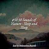 Lost in Relaxation Records
