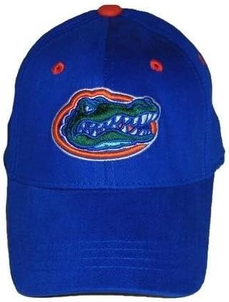 Florida Gators - Rookie NCAA Collegiate Hat Memory Fit - Youth, One Size Fits Most