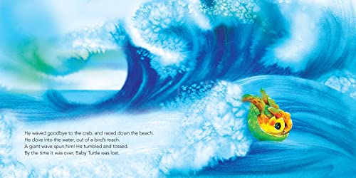Baby Turtle's Tale - Image 4