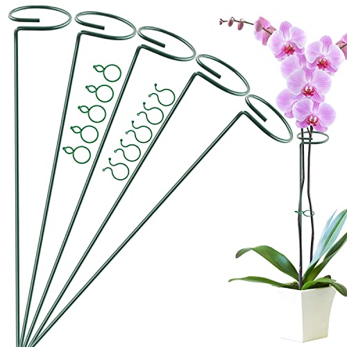 5 Pack 40 cm 16 inch Plant Support Stakes, Garden Single Stem Support Stake Amaryllis Plant Cage Support Rings with 10 pcs Plant Clips for Tomatoes Orchid Lily Peony Rose Flower Stem (40 CM)