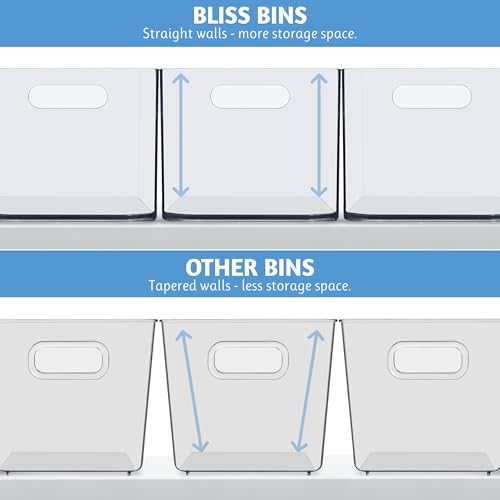 STORi Bliss 10" x 6" Open Clear Pantry Organizer Bin, Set of 2, Plastic Containers with Handle for Kitchen, Fridge, Cabinet, Closet, Bathrom, Undersink Storage Made in USA