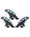 FCS 2 MB PC Carbon Tri-Fin Set Blue M