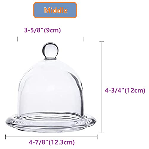 Somswcpass Glass Cake Stand With Dome Cover Small Cake Display Tray Covered Platter Round Base Cake Holder For Chocolate Candy Cupcake Containers Dessert Party Supplies Display Plate (Glass-Middle) #TOP6