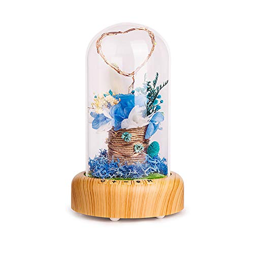 HJJH Lámpara de Botella LED Rosa con Altavoz Bluetooth Luz de Noche Azul Rosa, Rosa conservada en cúpula de Vidrio, Decoración para Aniversario de San Valentín, Cumpleaños,Blue