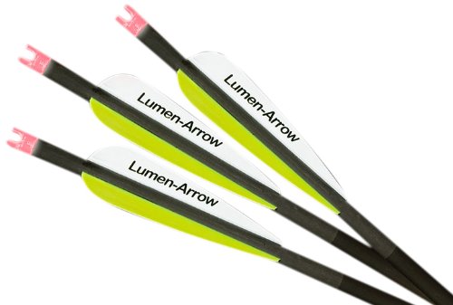Lumenok Lumen-Arrow 20-Inch Carbon Bolts With Capture Nocks (3-Pack), Red #TOP17