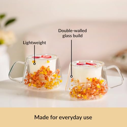 Image of Nestasia Double Wall Glass Mug with Dried Flowers Set of 2 (180ml Each) - Transparent Borosilicate Floral Glass Tea Cups | Lightweight & Durable Coffee Mugs - Perfect for Gifting (Yellow & Orange)
