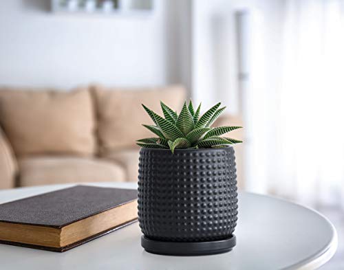 Pot de fleurs noir en grès 10,2 cm avec soucoupe intégrée - 6