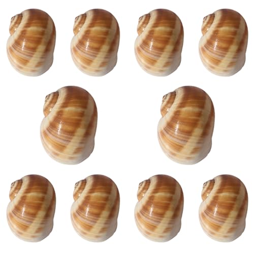 Vis à tête fraisée 3,5 cm pour embellir vos décors de table et vos meubles