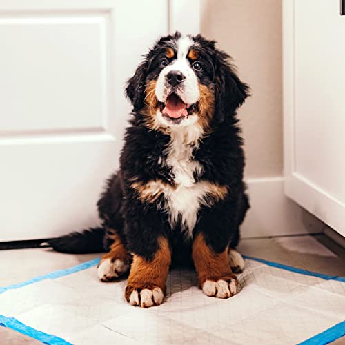 Four Paws Vier Pfoten Wee Wee Pad
