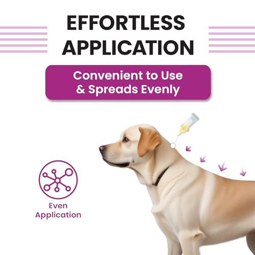 Image of Vivaldis Spot On for Dogs 20-40kg - VI-FI Forte 2.68ml Single Pipette - Solution for The Prevention and Treatment of Flea, Tick, and Chewing Lice Infestations (Pack of 1)