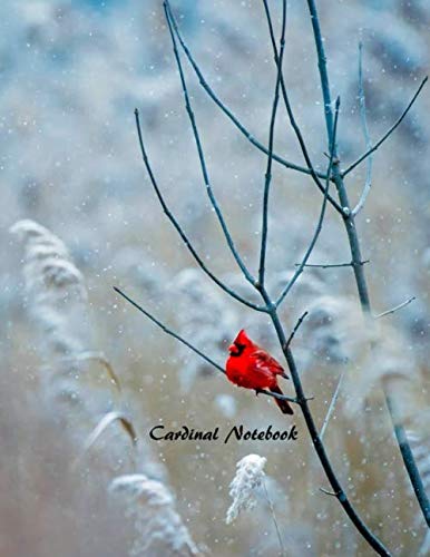 Cardinal Notebook: Cardinal Bird Design Notebook, Journal