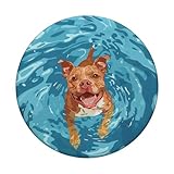 Zoom IMG-2 divertente staffordshire bull terrier in