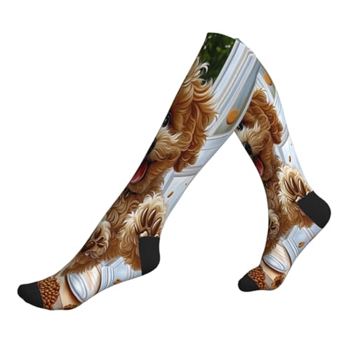 FLONTY Poodle Puppy Dog Compression Socks Novelty Stockings Calf Knee High Support Socks For Women Men Athletic Running Hiking Nurse Gifts 2 Black-2