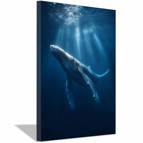 Rorqual bleu poster sur toile ocean 60x90cm encadrée salon