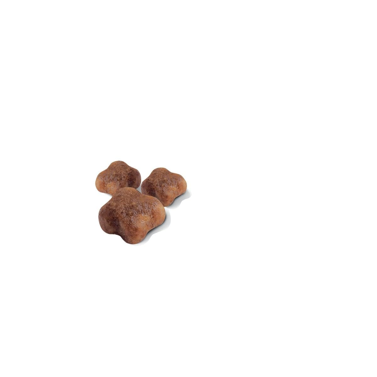 Royal Canin Comida para gatos Babycat 2 Kg
