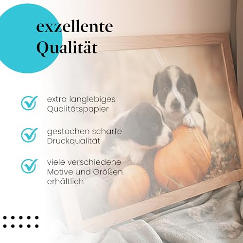 Postereck - 3776 - Hundewelpen, Tier Hund Kürbis Geschwister Natur - Wandposter Fotoposter Bilder Wandbild Wandbilder - Poster - DIN A4-21,0 cm x 29,7 cm