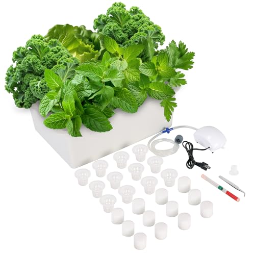 AMGSH Hydroponics Growing System Kit with Air Pump, Bubble Stone, 12-Hole Indoor Hydroponic System Grow Box, Indoor Gardening System & Hydroponic Kit Vegetable & Herb Garden Starter Kit