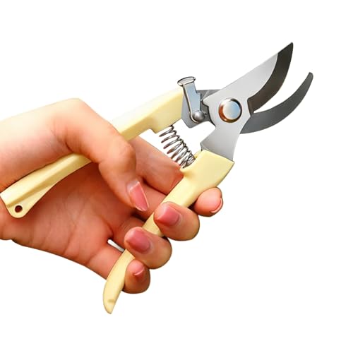 yInnovistaz΂  Ԑ؂oT~ A ԓ ԓ |p x| }؂΂ |p΂ s hK bN@\ 뉀؂̙  ~ A DIY p pȂnfUC (ȓ^fUCi17×4jcm