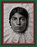 Pieter Henket: Birds of Mexico City