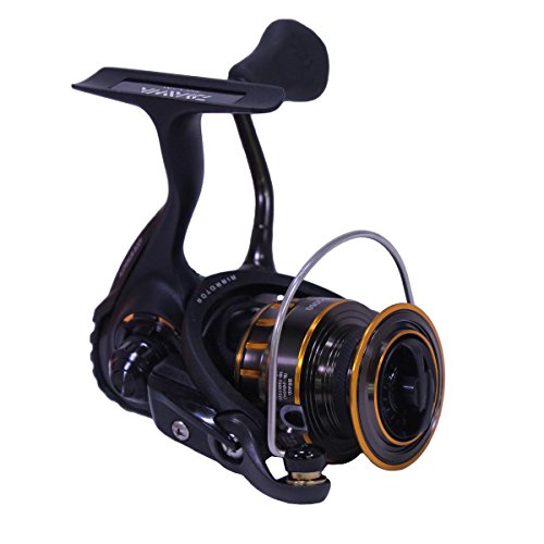 Daiwa Bg Spinning Reel, Black/Gold, 3000 #TOP7