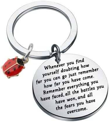 TIIMG Ladybug Inspirational Keychain Ladybug Lover Gifts Good Luck Gifts For Friend Best Friend