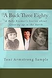A Buck Three Eighty: A Baby Boomer's Stories about Growing up in the North