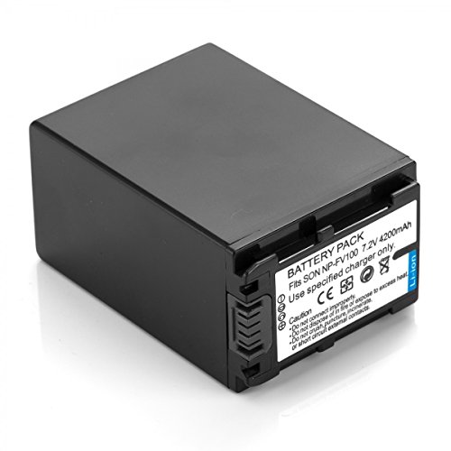 Rusty Bob Sony NP-FV100 DCR-SX45e-SR35-SX15-SX34e-DCR-SR5-SR68E-SR78E-SR88E-XR155E-XR550E-CX106E-CX105E-SX44E-DVD510E-DVD115E - Batterie Seulement