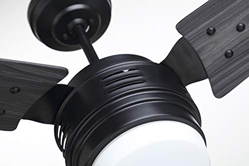 Luminance Avenue Led Ceiling Fan Large 60 Inch Fixture With Dimmable Lighting And Wall Control Contemporary Design With Downrod For Overhead Hanging, Barbeque Black #TOP5