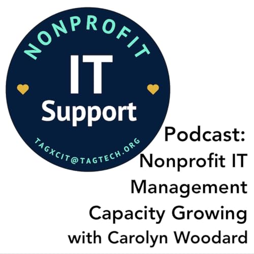 Nonprofit IT Management Capacity Growing with Carolyn Woodard