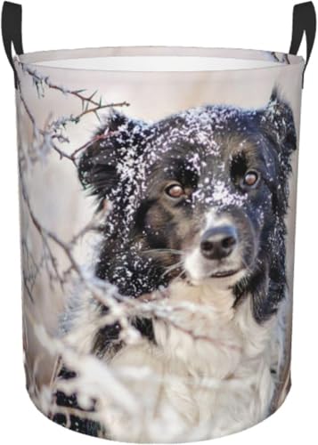 h[oXPbge 󂩂 h {[_[ R[ ~ P  [ 󕨓 [{bNX ܂ e ܂ݎ[{bNX ĕt ی^ LN^[ 킢 ~^ M