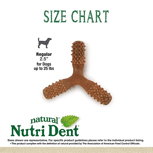 Image of Nylabone Nutri Dent Dog Dental Chews - Natural Dog Teeth Cleaning & Breath Freshener - Dental Treats for Dogs - Filet Mignon Flavor, Small (1 Count) | Natural dental chews for dogs, helps clean teeth & freshen breath, made in USA, vet recommended, for dogs 10-15 lbs