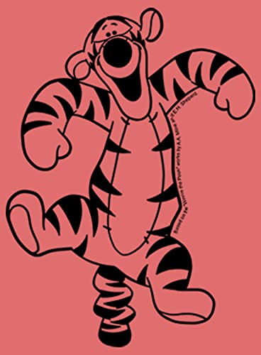Disney Winnie The Pooh Vintage Line Tigger Boy's Performance Tee2