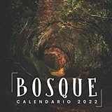  Bosque Calendario 2022: Calendario 12 meses 2022 - 8.5 x 8.5 in cuando está cerrado y 8.5 x 17.0 in abierto.- Organización y Planificación - Perfecto como regalos, suministros de oficina