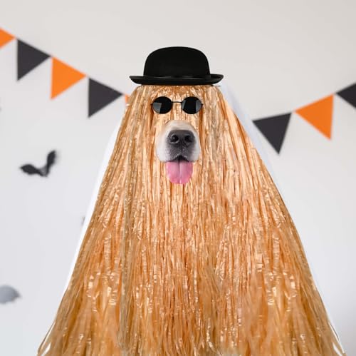 JcHrmers 4 Pzs Disfraz Halloween Perro miniatura 6
