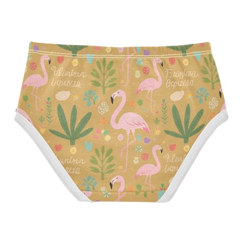 GuoChe Panties Stretchy Triangle Panties Breathable Underwear for Kids in Sizes 2T,3T, 4T, 5T, 6Y and 8Y2