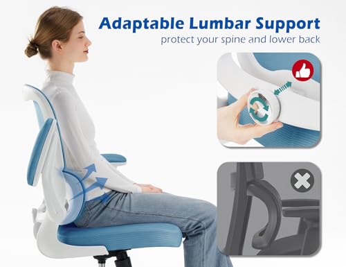 Image of TRALT Ergonomic Office Chair Desk Chair with Adjustable Lumbar Support