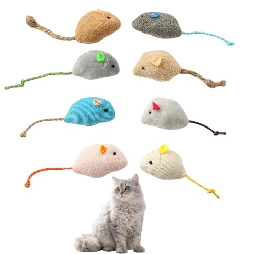 Lifetips p[} Ep[} LaPerm Lp lY~ʂ 8Zbg qL L V XgXU ^s ӂӂf L炵  ybgObY