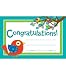 Carson Dellosa Boho Birds Certificates (101068)