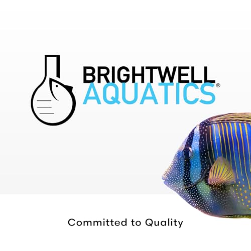 Brightwell Aquatics Tijolo XPort NO3 – Meio de desnitrificação de alta porosidade com enxofre para r