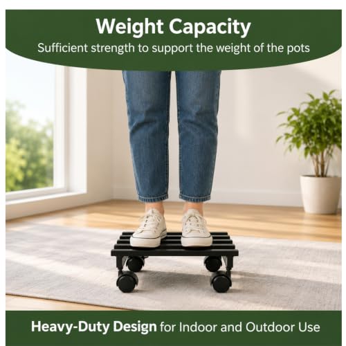 Image of Plant Stand with Wheels - Heavy Duty Metal Rolling Plant Caddy for Pots & Planters, Rust-Proof Iron Trolley with 360 Rotating Wheels, Indoor Outdoor Balcony Garden Use (Black, Pack of 4)